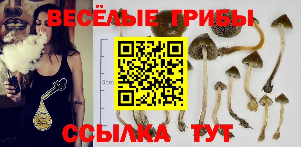 Псилоцибиновые грибы прущие грибы  Вход с VPN  Гусев  Галлюциногенные грибы мухоморы 