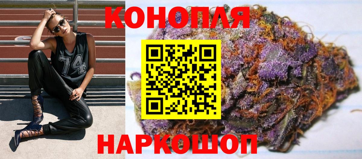 Бошки Шишки марихуана  Каннабис план  Вход с VPN  МАРИХУАНА марихуана  Бошки Шишки планчик  Гусев 